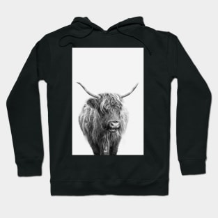 Highlander Cow In Black And White Hoodie